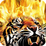 Furious Tiger Live WP icon