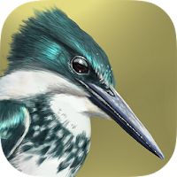 iBird Lite Free Guide to Birds