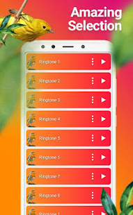 New Birds Ringtones 2020 - Bird sound mp3(圖5)-速報App
