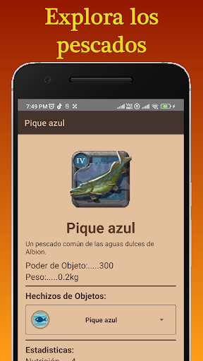 Guide Albion Wiki Screen 2