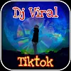 DJ Tiktok Remix 2021 OFFLINE icon