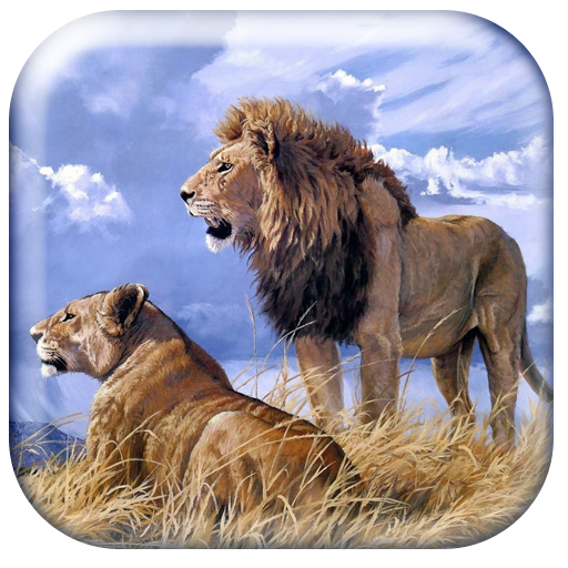 Roaring Lion Wallpaper HD logo
