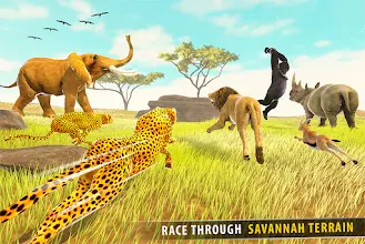Savanna Animal Racing 3d Wild Animal Games Google Play のアプリ