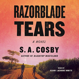 Icon image Razorblade Tears: A Novel