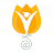Download Next Learning Platform APK for Windows