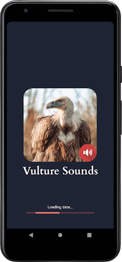 Vista previa de la aplicación