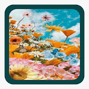 Top 30 Lifestyle Apps Like Flower Phone Wallpaper - Best Alternatives