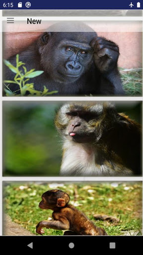 Ape wallpaper Screen 3