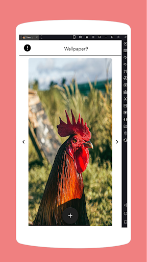 Android application Hen wallpapers screenshort