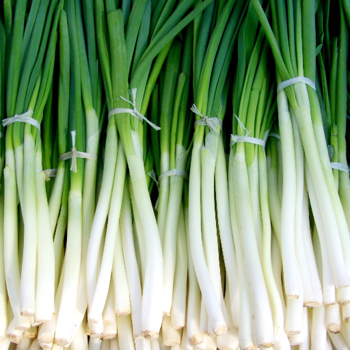 Green Onion Wallpaper logo