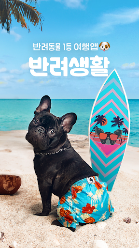 Android application 반려생활 - 반려동물 1등 여행앱 screenshort