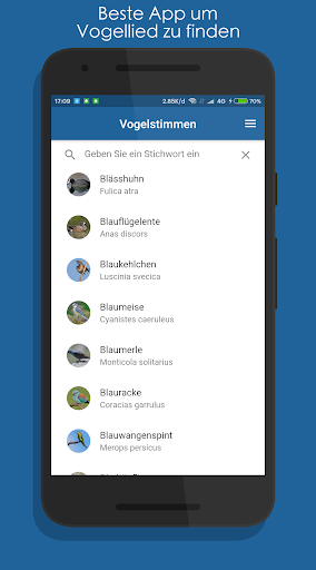 Vogelstimmen Ruf  Gesang