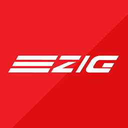 ZIG - Travel Places Safely: Download & Review
