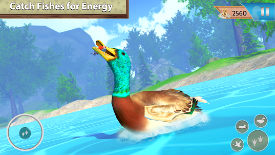 Virtual Duck Pet Bird games