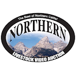 Northern Livestock Video Aucti