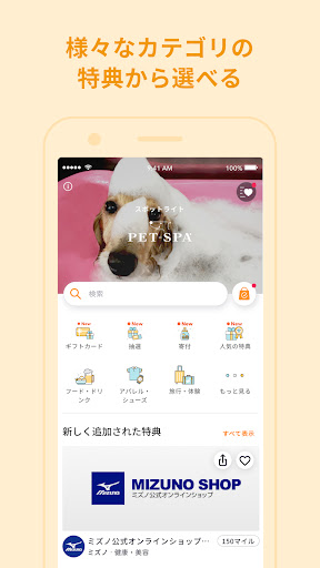 ノルク（イーデザイン損保） Screen 2
