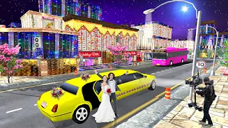 Luxury Wedding Limousin Game Screenshot