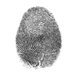 Fingerprint On Screen icon