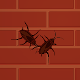 CockroachBrickPuzzle icon