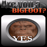 Are You a Bigfoot? Detector icon
