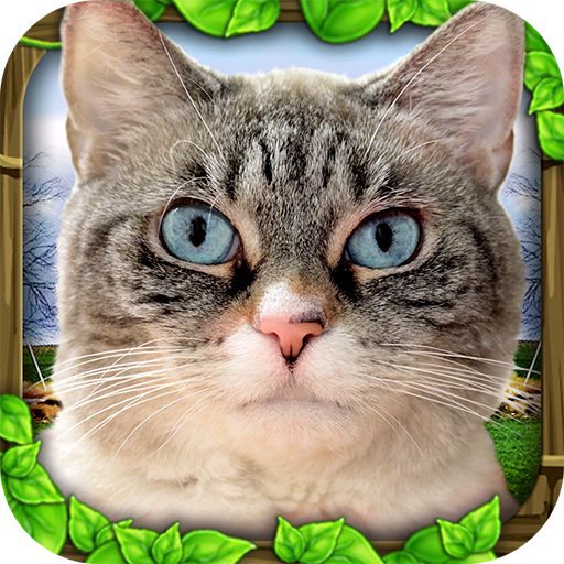 Stray Cat Simulator 3.0 Icon