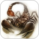 How To Draw Scorpion Animals icon