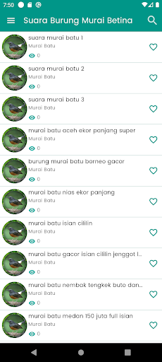 Suara Burung Murai Betina Screen 2
