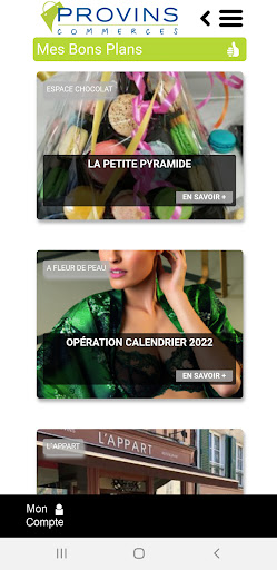 Provins Commerces Screen 2