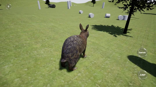 Happy Rabbit Simulator