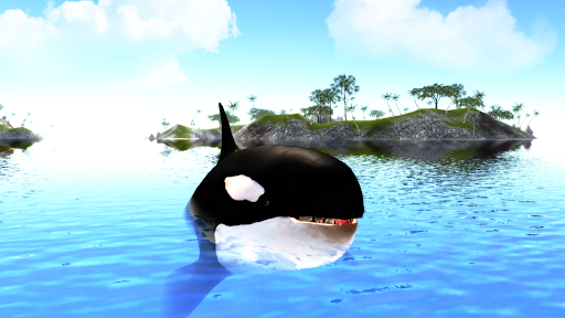 The Killer Whale 8