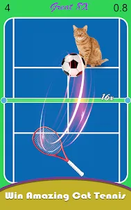 Cat Tennis ASMR Battle
