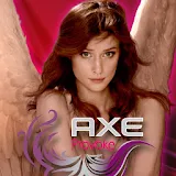 Axe Angel Theme icon