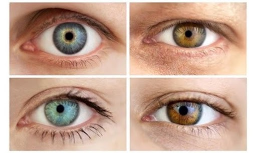 Eye Color Booth For PC installation
