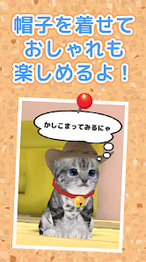 ねこ育成ゲーム - 子猫をのんびり育てる癒しの猫育成ゲーム - Google 