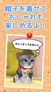 ねこ育成ゲーム - 子猫をのんびり育てる癒しの猫育成ゲーム - Google ねこ育成ゲーム - 子猫をのんびり育てる癒しの猫育成ゲーム - Google