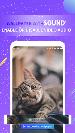 Video Live Wallpaper Screen 2
