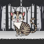Cute Cat Rescue From Cage