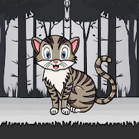Cute Cat Rescue From Cage