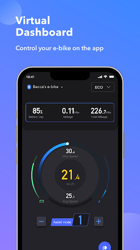 CYKE Assistant Screen 2