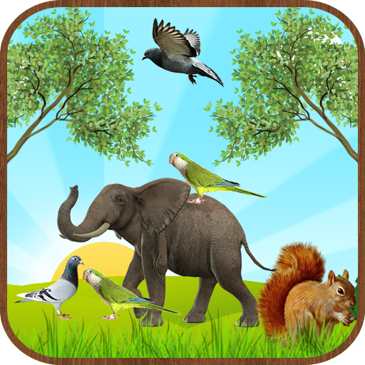 Birds  Animal Sounds