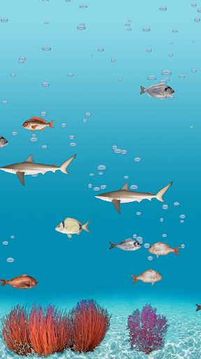 Abubu ocean live wallpaper key Screen 3