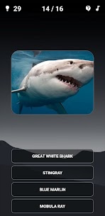 Animal Quiz: Guess the Animal 5