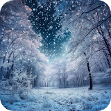 Winter Wallpaper Live in 4K HD icon