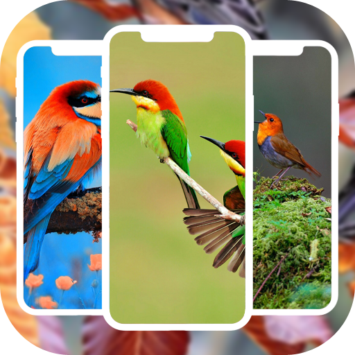 Bird Wallpapers HD 4K/3D Download on Windows