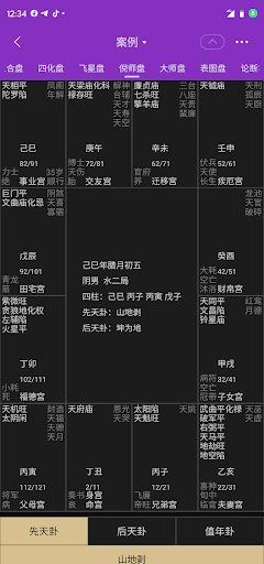 紫微斗數排盤（陳摶版）-專業級紫薇排盤解盤工具 Screen 3