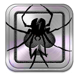 Flash Spider Solitaire icon
