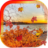 Autumn Leaves live wallpaper icon