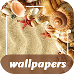 Seashells wallpapers 4K Apk