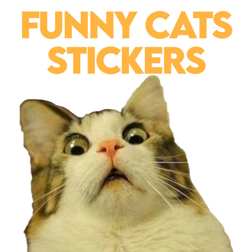 Cats Funny Stickers for WA