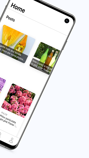 Right Plants Screen 2